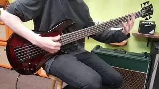 Spector Legend 5 Classic Black Cherry 5-string bass guitar demo at Basone Guitar Shop