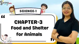 SPARKLING BOOKS | SCIENCE-1 | CH-3 : FOOD AND SHELTER FOR ANIMALS