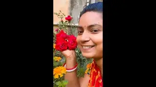 Good afternoon ❤️ rose lene kalia jaldi a jao 🌹
