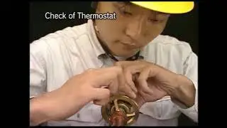 Yanmar Diesel Generator - 6. Maintenance of Cooling Water System