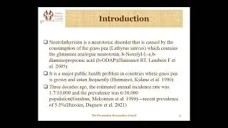Research Capacity Building and Motivation: The Pacemaker Research Grant by Medical Research Lounge
