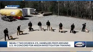 Arson Dog Training