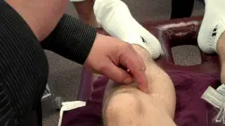 Acupuncture of the Knee Acupuncture Points