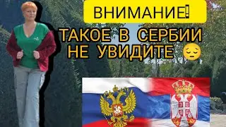 219💞#Настоящая жизнь в Сербии в 2025 году. Такое вы нигде не увидите в Сербии. 😭#сербия #россия 
