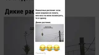 #юмор #шутки #приколы #смех #funny #humor #jokes #comedy #shorts #youtubeshorts