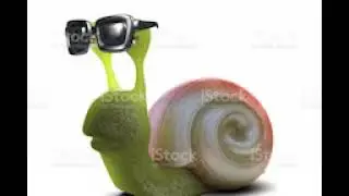 cool snial pictures I found!!!!