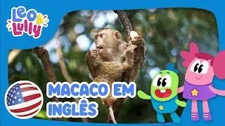 O Macaco em Ingl&ecirc;s! | Aprender Ingl&ecirc;s com os Animais!
