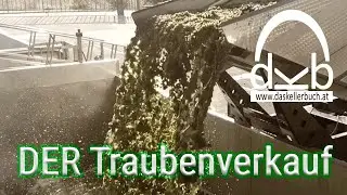 DER Traubenverkauf