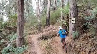 Buxton MTB Park | 06/04/2019