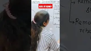 Role of kidney in 1 min #humanexcretorysystem #kidneyrole #roleofkidney #humanbody #ncert #kidney