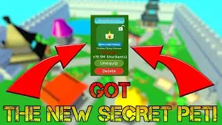 GOT THE SECRET OUT OF THE NEW EGG | F2P PROJECT / Ninja Clicker Simulator