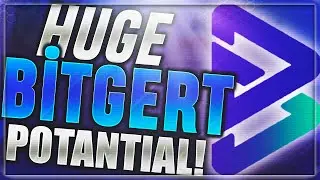 🚀 BITGERT REVIEW - HUGE POTANTIAL The Next 100X Crypto!💎