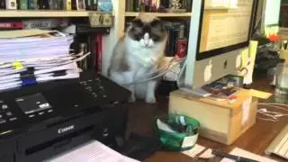 Life at a literary agency