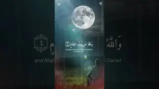 قرآن کریم❤️