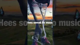 Hees Somali ah No music #shortvideo