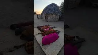 Turkana Tribe Morning Desert Life #africa #villagecooking #villagelife