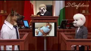 Dog court room saga #youtubeshorts #dogvideos #viralshorts