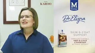 Ask Dr Elizna | Skin and Coat Support | Montego Karoo Dog Food | Vet Q&A