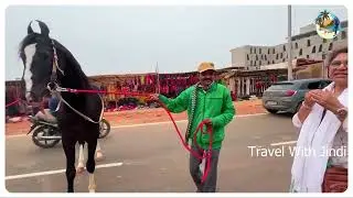 16 lakh 💵💵 Mare in pushkar (Pushkar Fair 2025  Rajasthan Journey)