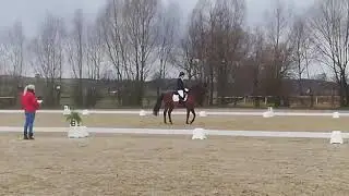 Lf3 in Kreuttal - Saisonstart 2019 | Pico