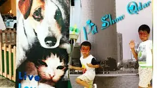 Pet Show In Qatar | Paws Rescue at Mirqab Mall Qatar | Kids Fun Activity Qatar | Vlogs Qatar