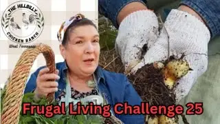 11-Year-Old Beet Seeds Update + Free Food for Next Year&rsquo;s Garden! | #FrugalLivingChallenge25