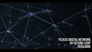 Motion Graphics File : Plexus Digital Network