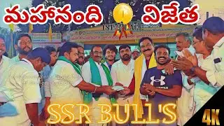 మహానంది పుణ్యక్షేత్రం 4వ జత SSR BULL'S 💥💥💥💥