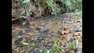 Upstate SC Land for Sale – 1.178 Acres w/ Creek & No Restrictions