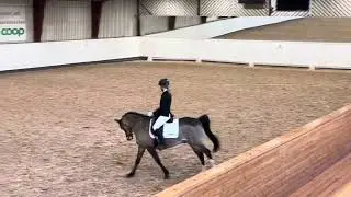 Iris och Camaro Lätt B:1 Klubbtävling SRK 250330