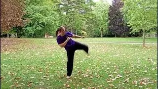 Kicking Combination 11