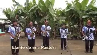 ORQUESTA JUVENTUD INTIMOS DEL PERU  (HNOS PALANTE TORRE)