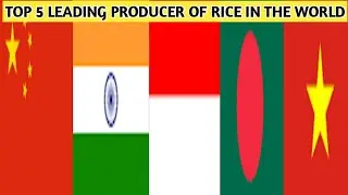 TOP 5 LEADING PRODUCER  of rice  IN THE WORLD 2021 #SHORTS