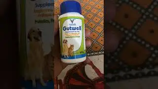 Dogs ke liye good supplement #Gutwell #breeder #homemadebreeding #dog #pets #pets