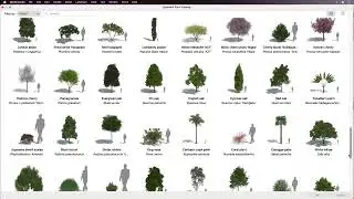 Laubwerk Plant Objects