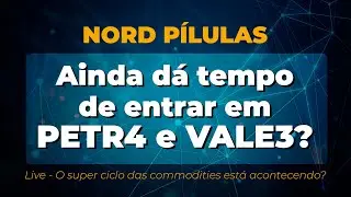 Vale e Petrobr&aacute;s est&atilde;o caras demais?