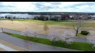 Fairvue Intro