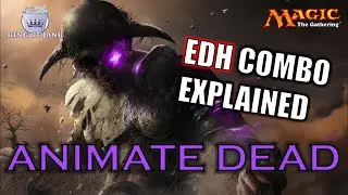 Combo Breakdown: Animate Dead | MTG Combo Explained | EDH Worldgorger Dragon Combo