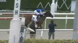 RACE 1 GULFSTREAM PARK USA 22 JAN 2026