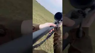Red Fox hunt with the PARD Nightstalker 4K