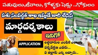 MGNREGS - GOKULAM GUIDELINES -How to Apply for AP Govt Subsidiary Scheme/ Cattle/Poultry/Sheep sheds