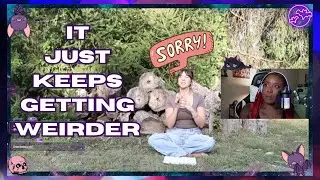 Gabbie Hanna apologizes and it smells like holy spirit