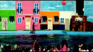 salto delfiin.mp4