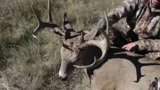 Hunt Edges to Kill More Deer