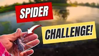 How to Fish for Bass With Spiders (TOPWATER BLOWUPS)