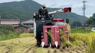 稲刈りYH462A