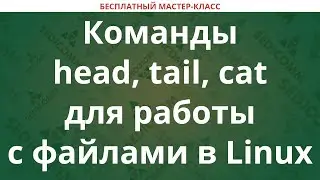 Команды head, tail, cat для работы с файлами в Linux