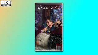 Happy Teddy Day Status | Taddy Day WhatsApp Status | A Taddy 🧸 For You 😘