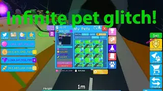 *NEW* HALLOWEEN INFINITE PET GLITCH IN BGS!