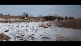 Prairie State Park 